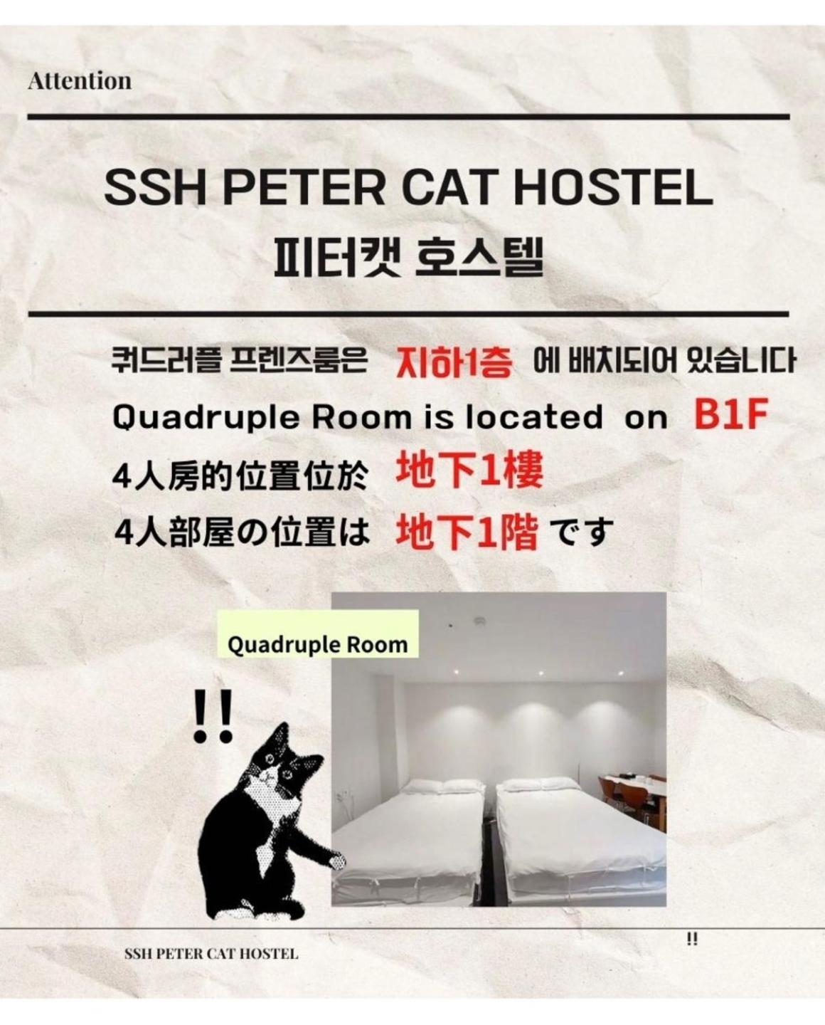 Ssh Ikseon Peter Cat Hostel โซล ภายนอก รูปภาพ